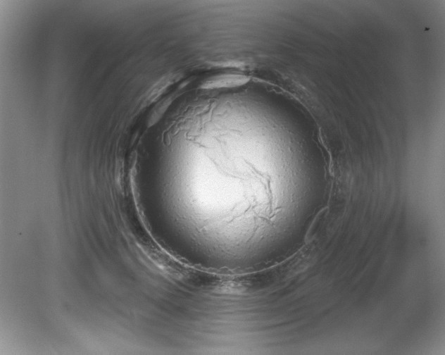 X0000081620656200701151433
