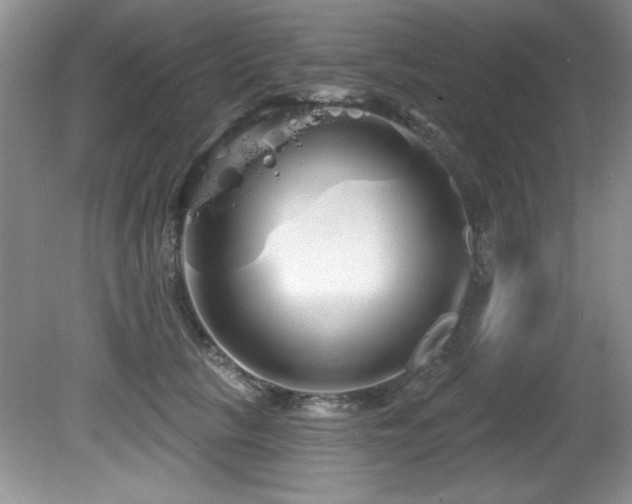 X0000081620657200701151433