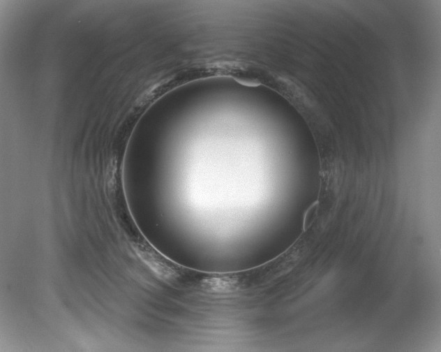 X0000081620660200701151433