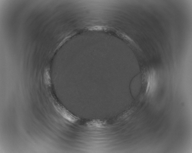 X0000081620661200701151433