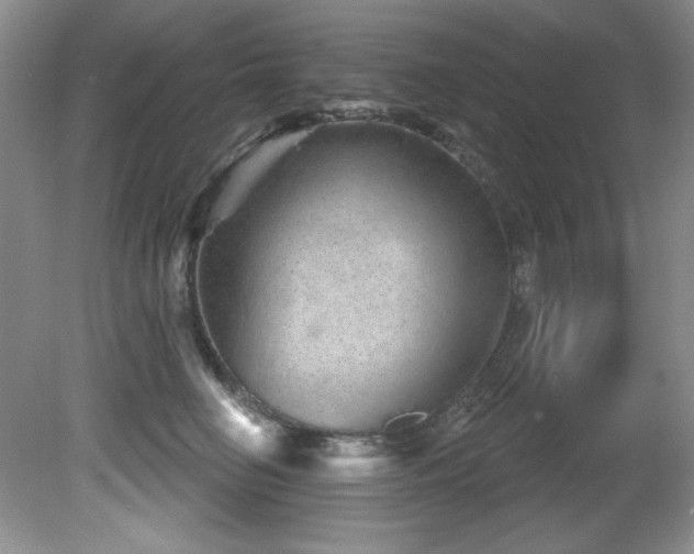 X0000081620662200701151433