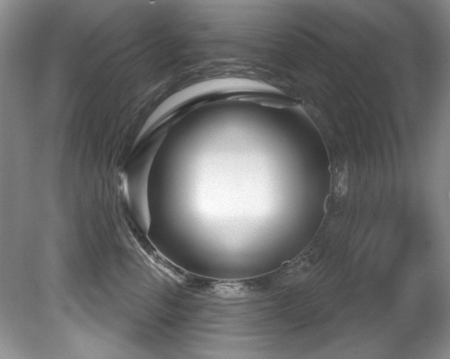 X0000081620666200701151433