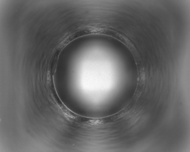 X0000081620667200701151433