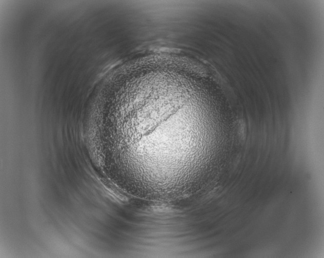 X0000081620668200701151433