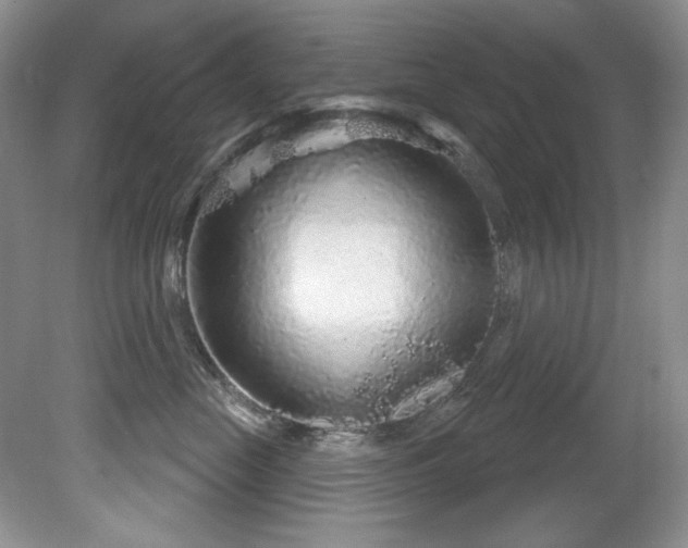 X0000081620669200701151433