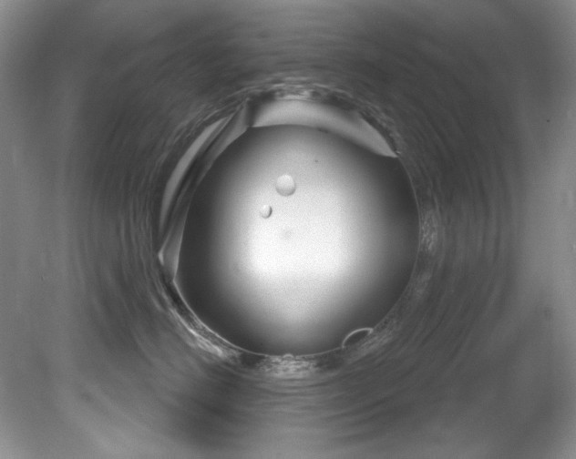 X0000081620670200701151433