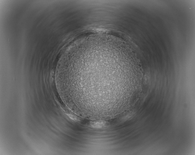 X0000081620671200701151433
