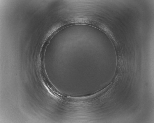 X0000081620674200701151432