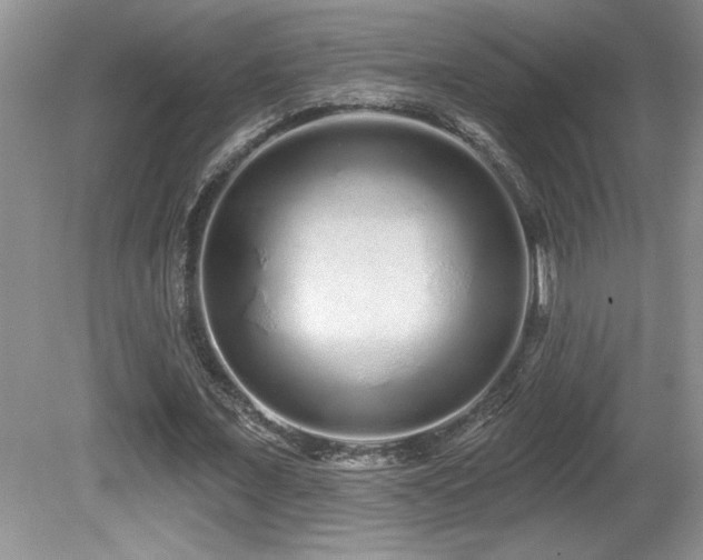 X0000081620675200701151432