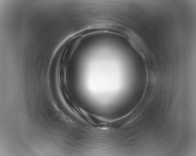 X0000081620676200701151432