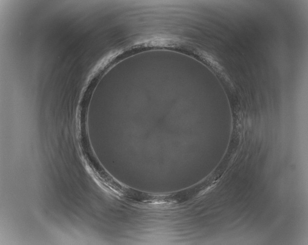 X0000081620678200701151432