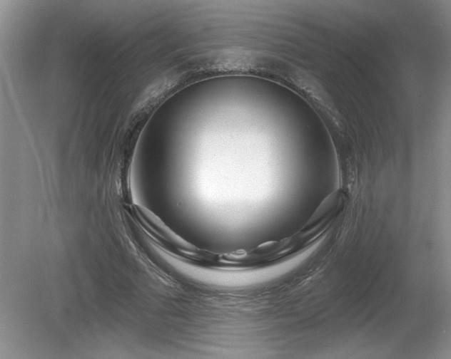 X0000081620681200701151432