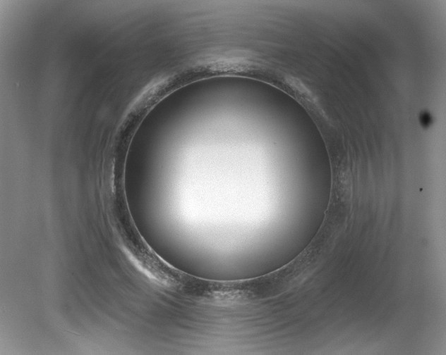 X0000081620686200701151432