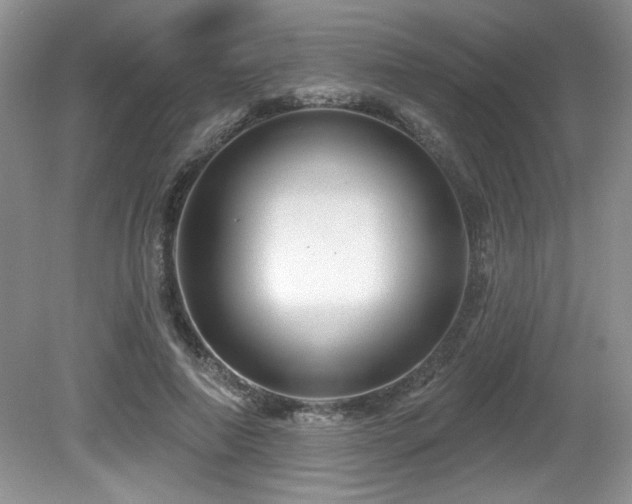 X0000081620690200701151432