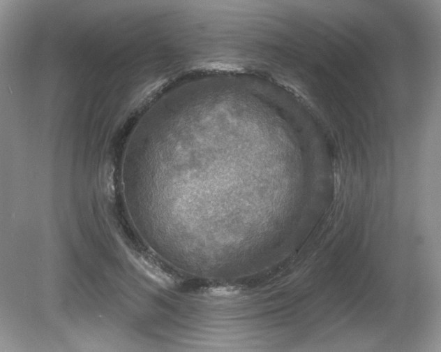 X0000081620692200701151432
