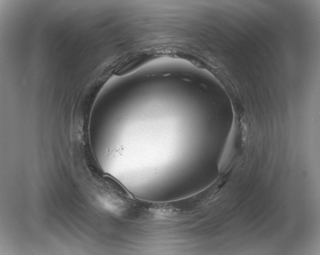 X0000081620693200701151432