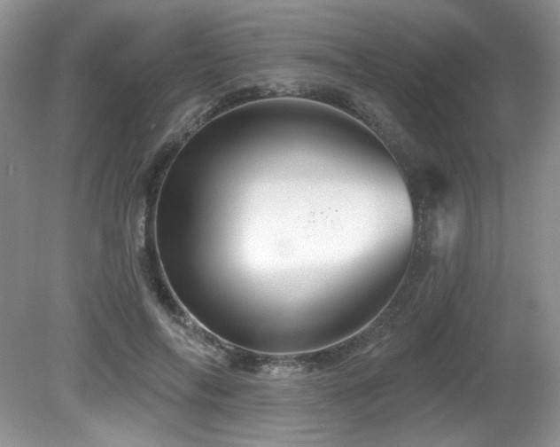 X0000081620694200701151432