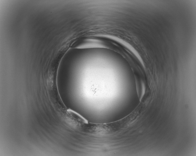 X0000081620697200701151432