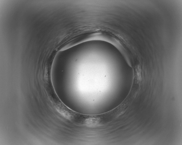 X0000081620700200701151432