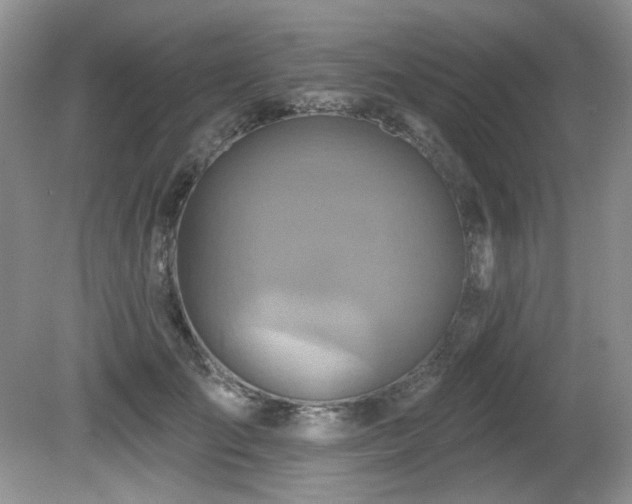 X0000081620701200701151432