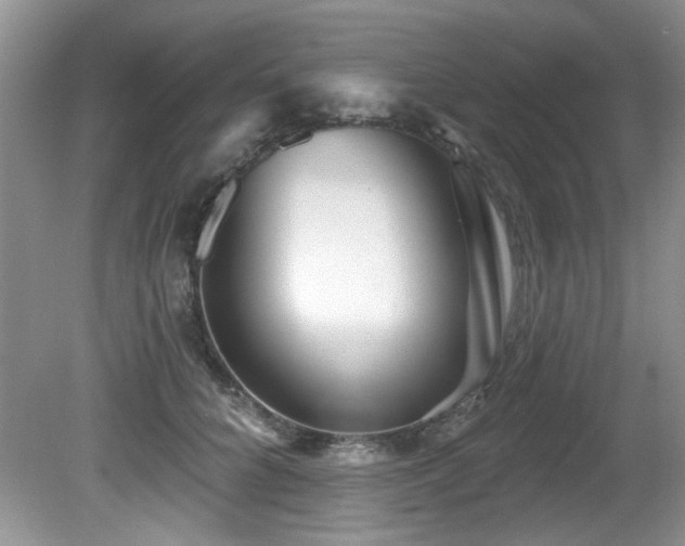 X0000081620704200701151432