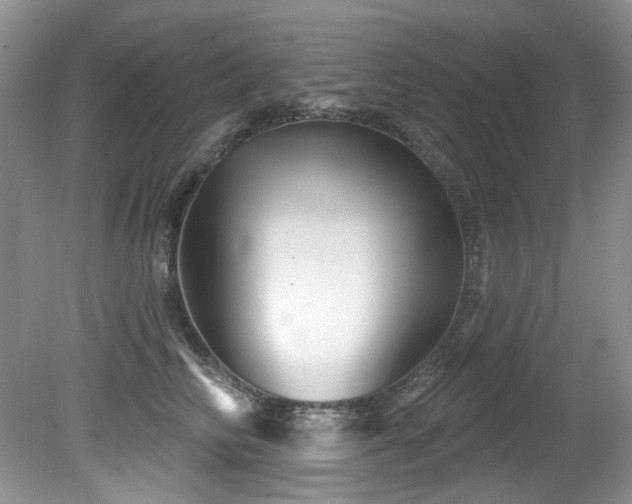 X0000081620710200701151431