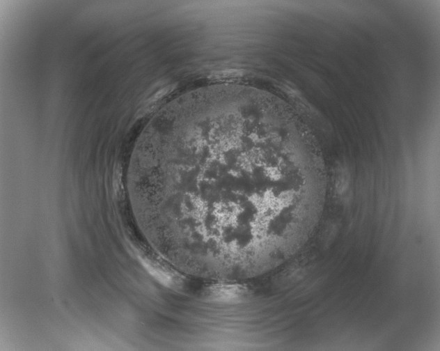 X0000081620711200701151431