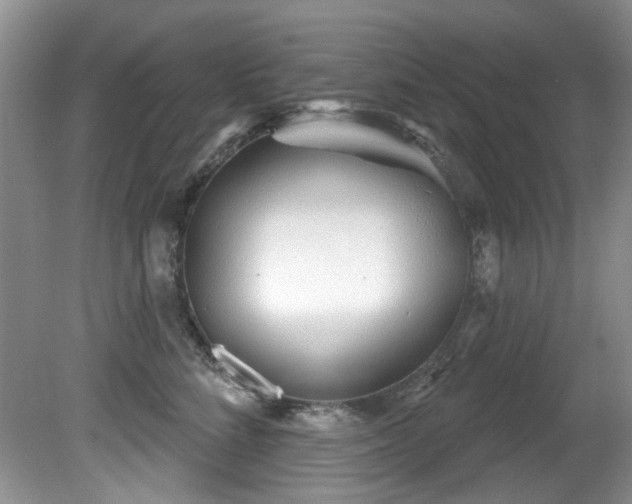 X0000081620712200701151431