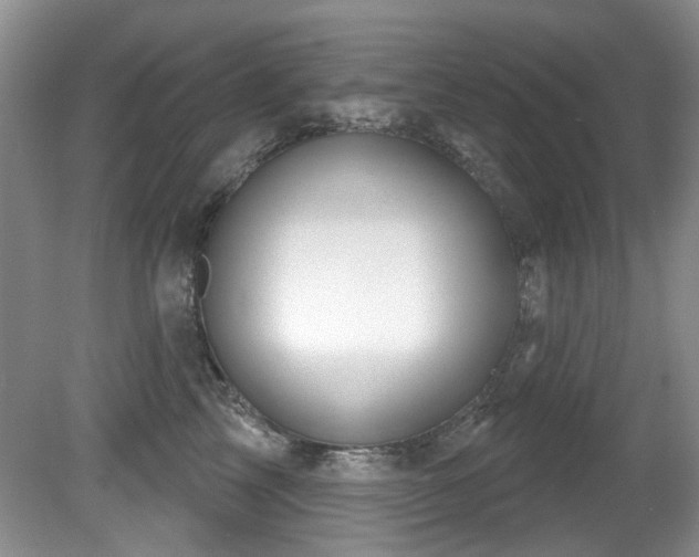X0000081620713200701151431