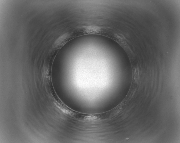 X0000081620714200701151431