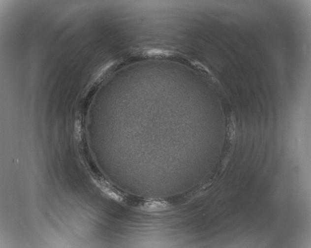 X0000081620716200701151431