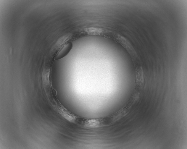 X0000081620717200701151431