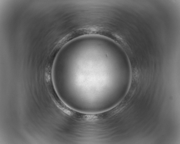 X0000081620719200701151431