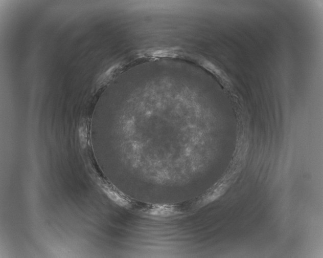 X0000081620720200701151431
