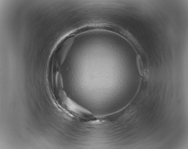 X0000081620724200701151430
