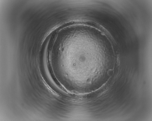 X0000081620725200701151431