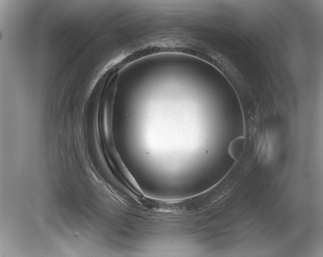 X0000081620727200701151431