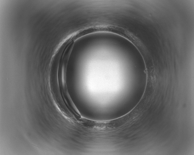 X0000081620728200701151431