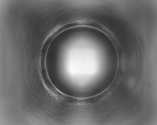 X0000081620730200701151431