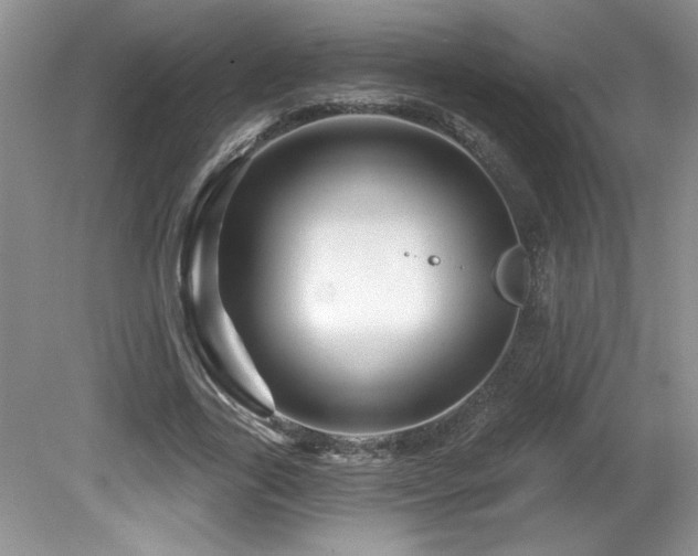 X0000081620731200701151431