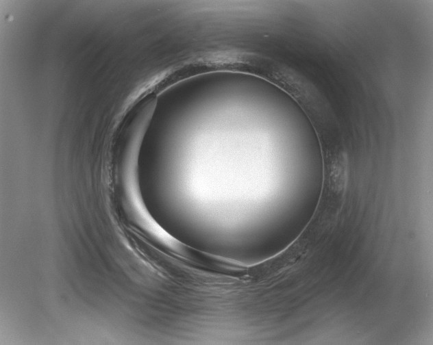 X0000081620732200701151431