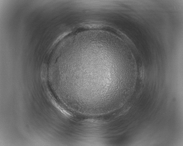 X0000081620733200701151431