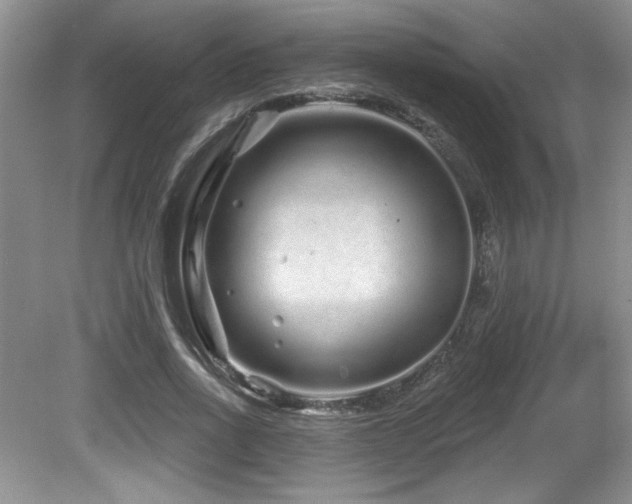 X0000081620734200701151431