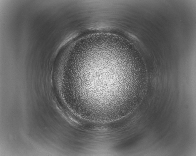 X0000081620735200701151431