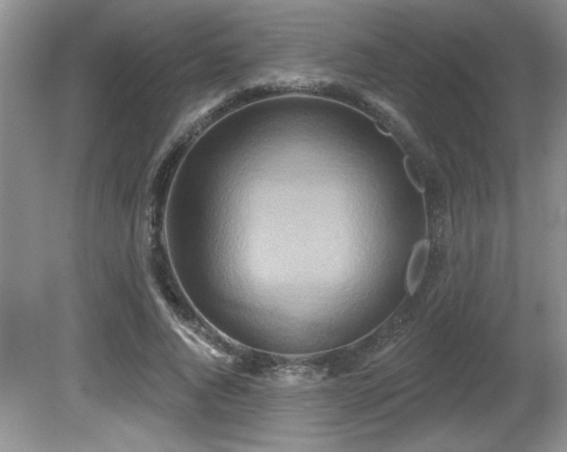 X0000081620736200701151431