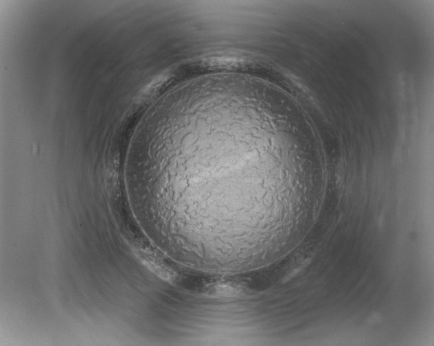 X0000081620737200701151431