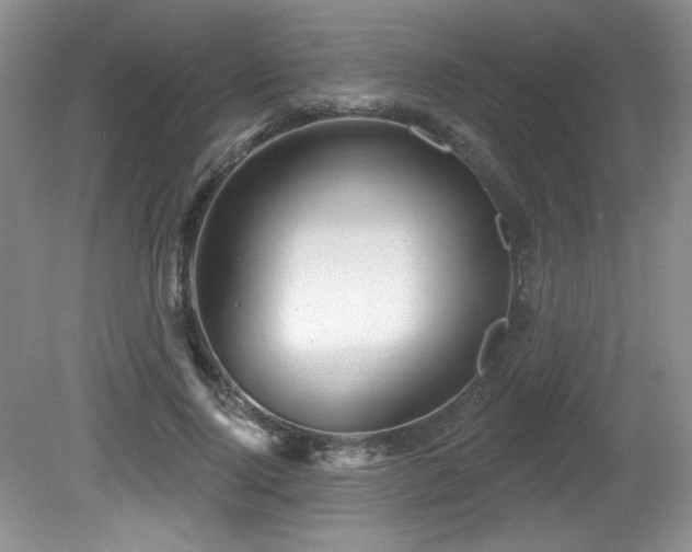 X0000081620740200701151431