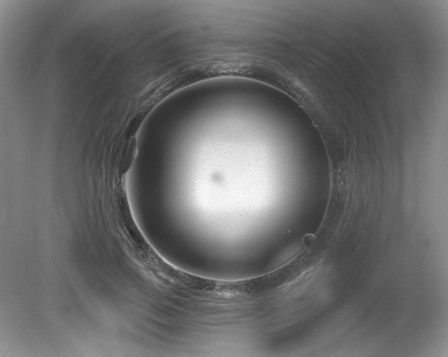 X0000081620741200701151431