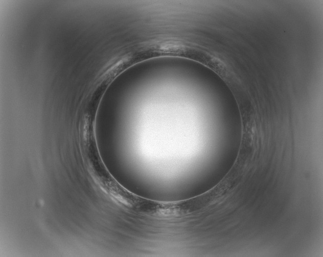 X0000081620744200701151431