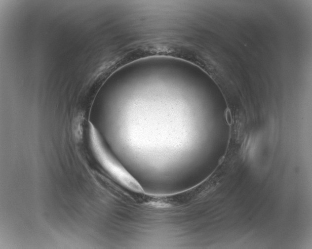 X0000081620747200701151431